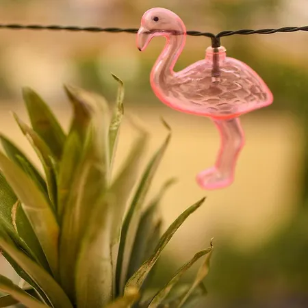 Flamingo Rainbow * Bucharest